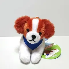 コーイケルホンディエのおでこちゃんLMC～おめかしver.～