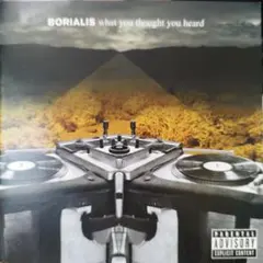 Borialis What You Thought You Heard