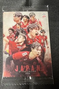 バレーボール男子日本代表 ツインウェハース2026