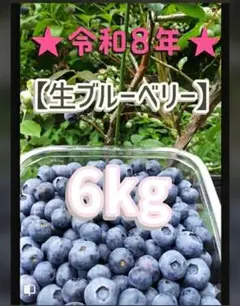 ☆令和8年 生ブルーベリー☆農薬不使用 6㌔ haru ☆令和8年 生ブルーベリー☆農薬不使用 6㌔ - メルカリ