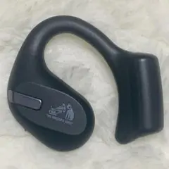 美品 Victor HA-NP50T ブラック 左L 左耳のサムネイル