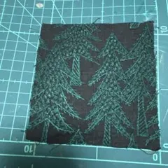 Item thumbnail for item 4d9c240f-c02c-4238-8786-8acce8d135ce