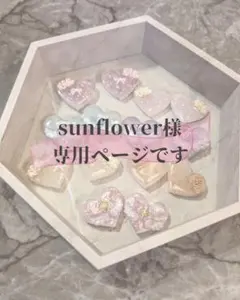sunflower様 リクエスト 2点 まとめ商品