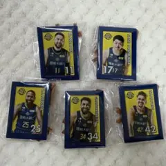 宇都宮ブレックス ガチャ ミニチュア アートイーゼル セット