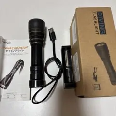 ダイビングライト(ジャンク品)