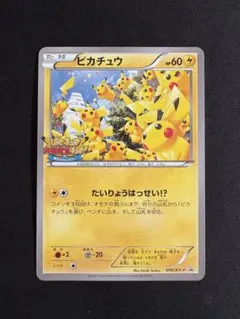 XY ピカチュウカード(070/XY-P [P] )&ルーキーポケモントレッタ