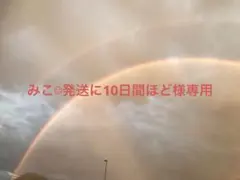 みこ‪︎︎︎︎☺︎発送に10日間ほど様専用ページ