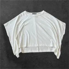 【極美品】ミズイロインド ワイドドルマンカットソー Tシャツ 白 前後差 日本製のサムネイル