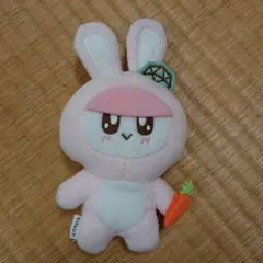 2026年最新】seventeen ボンボンイ うさぎの人気アイテム - メルカリ