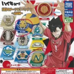 ハイキュー　高校モチーフピンバッジ３　2個セット