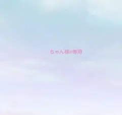 ちゃん様☺︎︎専用