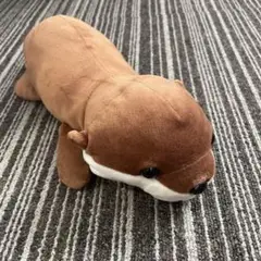 カワウソ ぬいぐるみ 約30cm