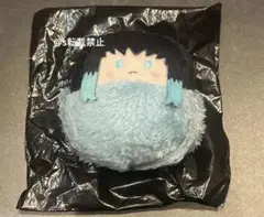 鬼滅の刃 時透無一郎 たぴぬい vol.3