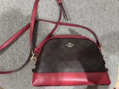 COACH レザーショルダーバッグ ブラウン/レッド