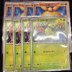 ジムプロモ マクノシタ　チコリータ 各４枚セット