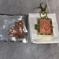 ディズニー ロケットチャームキーチェーン シークレットネックレス オーロラ姫