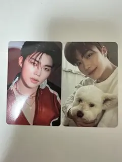 ゴヌク　トレカ　レオトレカ　ゼベワン　zb1