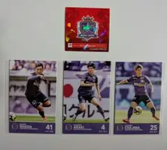 2025年最新】ルヴァンカップ サンフレッチェの人気アイテム - メルカリ