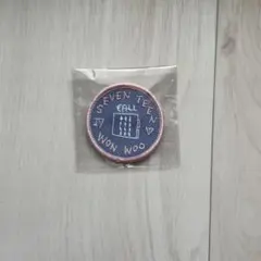 SEVENTEEN CARAT SUMMER CAMP バッジ ウォヌ