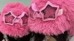 うさぎ　被り物　星型サングラス付き
