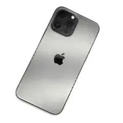 Apple iPhone 13 Pro Max 本体 通電確認済み CM25