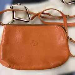 イルビゾンテ ショルダーバッグ 限定カラーアプリコット ラウンド