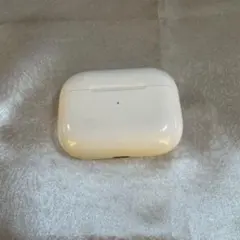 動作確認⭕️AirPods Pro 充電ケースのみ　本体