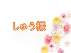 しゅう様専用ページ