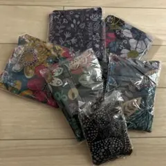 Item thumbnail for item 56c9a8a6-f88f-4792-8661-120f91d67451