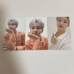 SEVENTEEN セブチ トレカ ホシ 舞い落ちる花びら