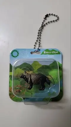 デズモンド様　専用ページ