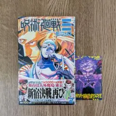 【美品】呪術廻戦　モジュロ　単行本　2巻　初版本 呪術廻戦モジュロ 2巻 特典2枚付き 初版【新品未開封・クリアカバー