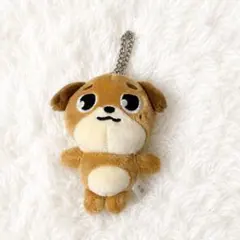 DAY6 ドウン DON DENIMALZ MAGNET PLUSH デニマルズ - メルカリ