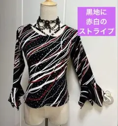 社交ダンスレッスンウェア　流れるようなストライプ、フリル袖