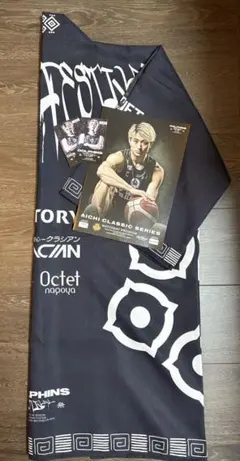 AICHI CLASSIC SERIES 名古屋ダイヤモンドドルフィンズ