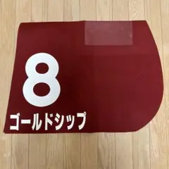 ［期間限定出品］超貴重品　ゴールドシップ　実使用ゼッケン　JRA 競馬　ウマ娘