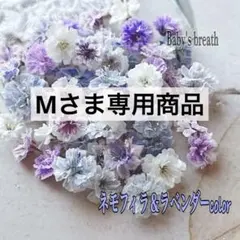 M様 リクエスト 2点 まとめ商品