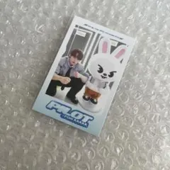 2025年最新】skzoo ポラロイド リノの人気アイテム - メルカリ