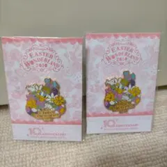 ディズニーアンバサダーホテル　10周年記念バッジ