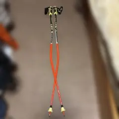 2026年最新】LEKI 長さ（cm）：115 〜 119.9cm スキー ストックの人気