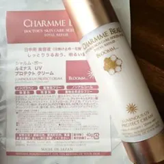 2026年最新】ルミナスUVプロテクトクリームの人気アイテム - メルカリ