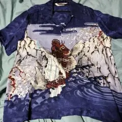 Item thumbnail for item 77b17a06-257e-44f6-980b-9dff8e150317