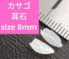 カサゴ 耳石 お守りパワーストーン天然石宝石開運受験生物学　F64