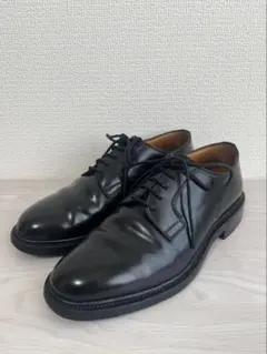 【希少/良品】スコッチグレイン コードバン L-0221 25cm EEEのサムネイル