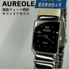 ADDIESDIVE AD2094ドレスウォッチ ブラック試着のみ