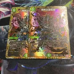 カモノハシ様 リクエスト 2点 まとめ商品