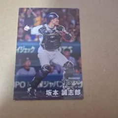 阪神タイガース 坂本誠志郎 　カルビープロ野球カード