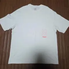 AIR JORDAN ジョーダン NIKE ナイキ Tシャツ XL