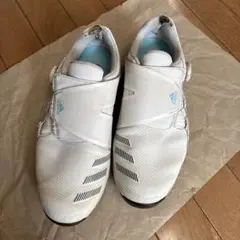 アディダス　ゴルフシューズ　25cm