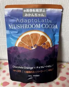 AdaptoLatte アダプトラテ チョコレートシナモン モカ 360g - メルカリ